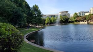 Frisco Texas Emergency Drain Jetting